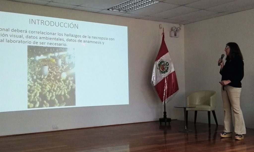 Curso UCSUR necropsias teórico