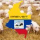 Minervet S.A. starts the commercialization of Minermold in Colombia and gets ready for the arrival of Aisen Plus