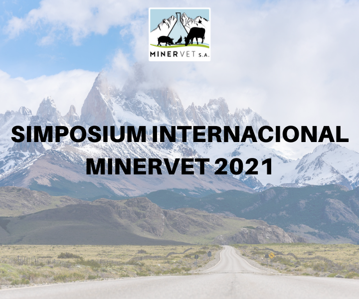 Simposium Internacional Minervet