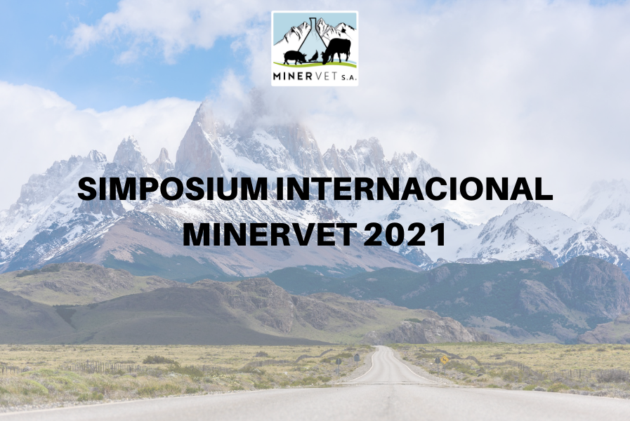 Simposium Internacional Minervet