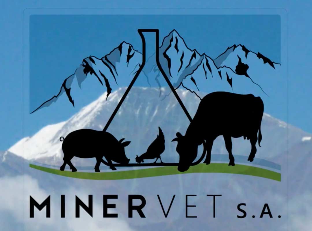 video minervet