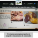 Principales patologías en pollos de engorde y mecanismos de prevención