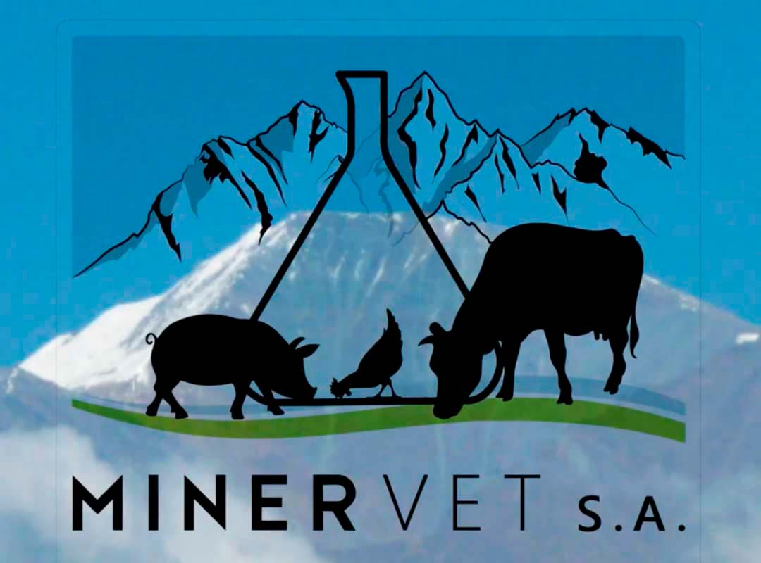 img-video-minervet