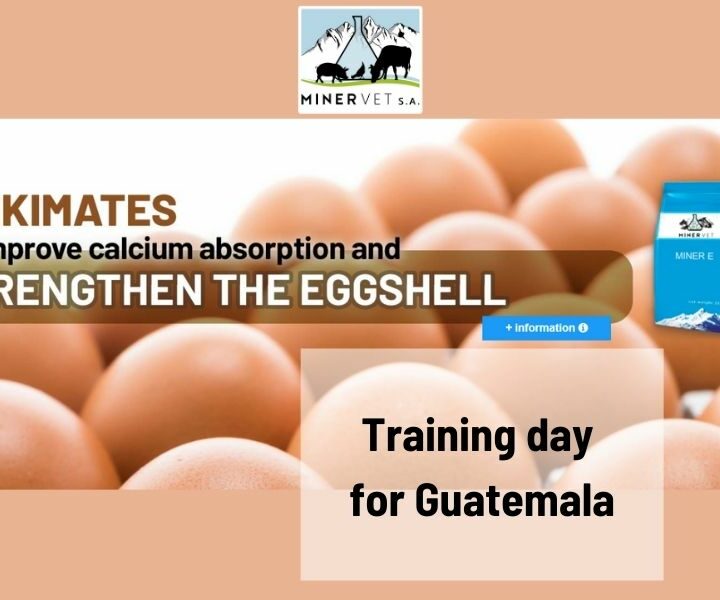 Training day on Miner E for Guatemala