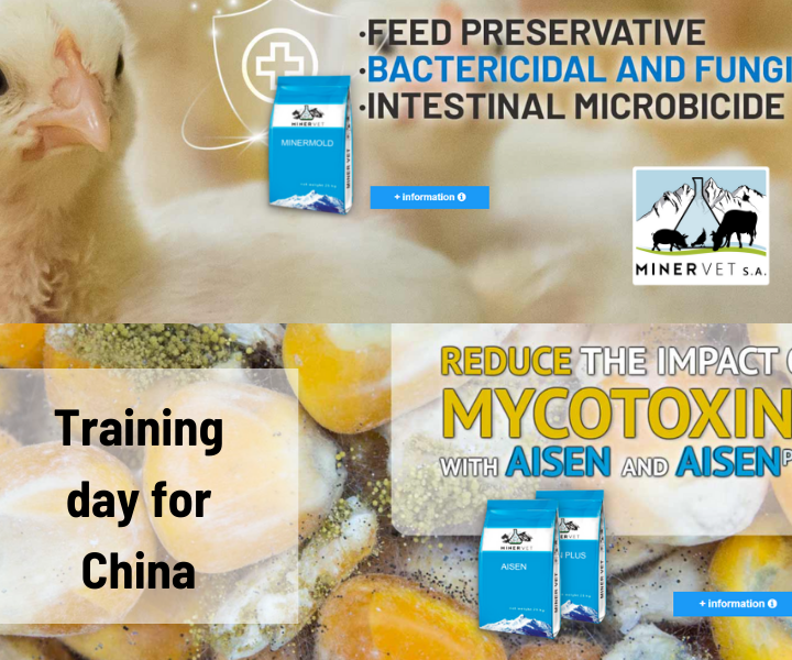 Minervet S.A. organizes a training day for China