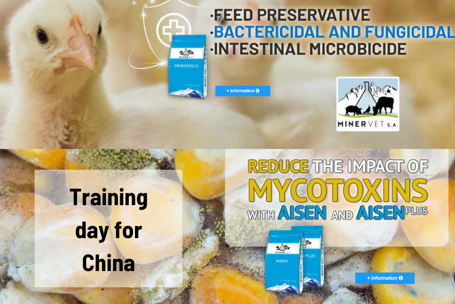 Minervet S.A. organizes a training day for China