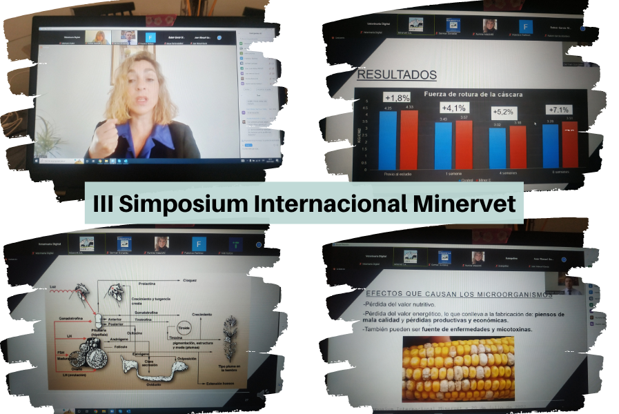 Primera sesión del III Simposium Internacional de Minervet