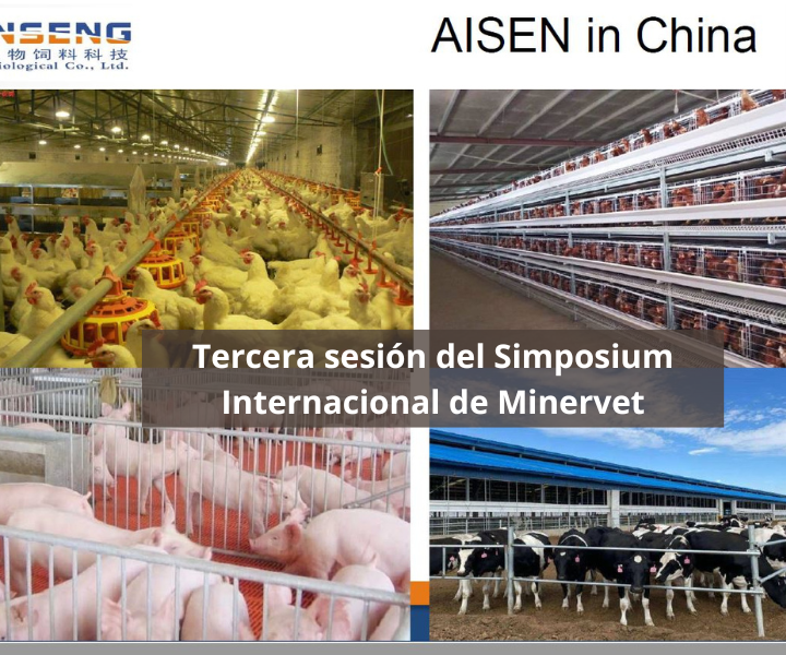 Tercera sesión del Simposium Internacional de Minervet