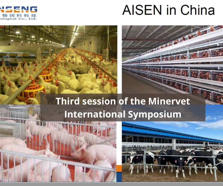 Third session of the Minervet International Symposium