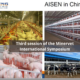 Third session of the Minervet International Symposium