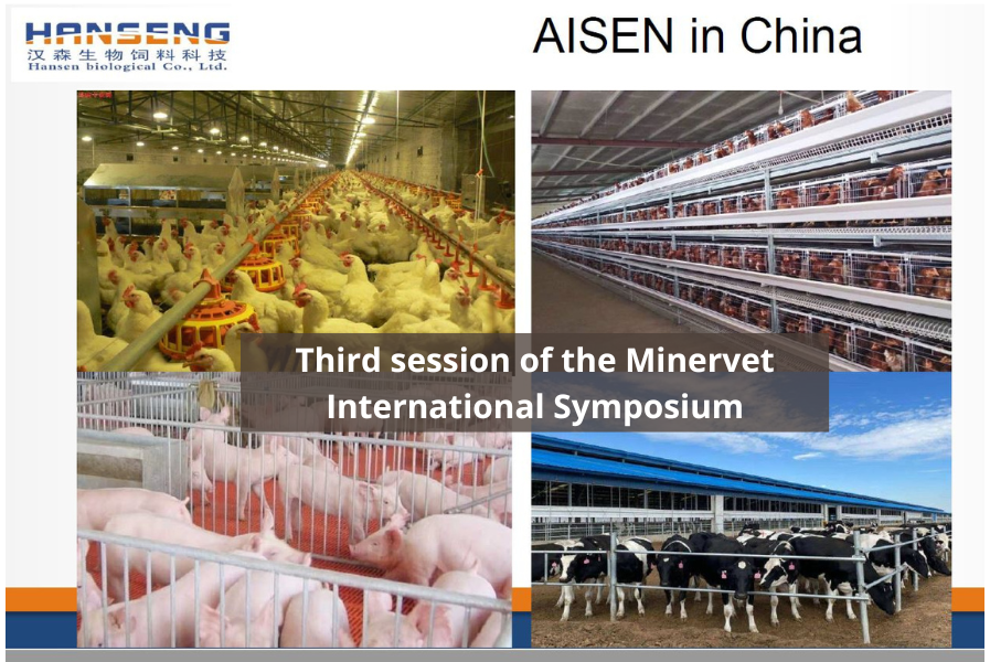 Third session of the Minervet International Symposium