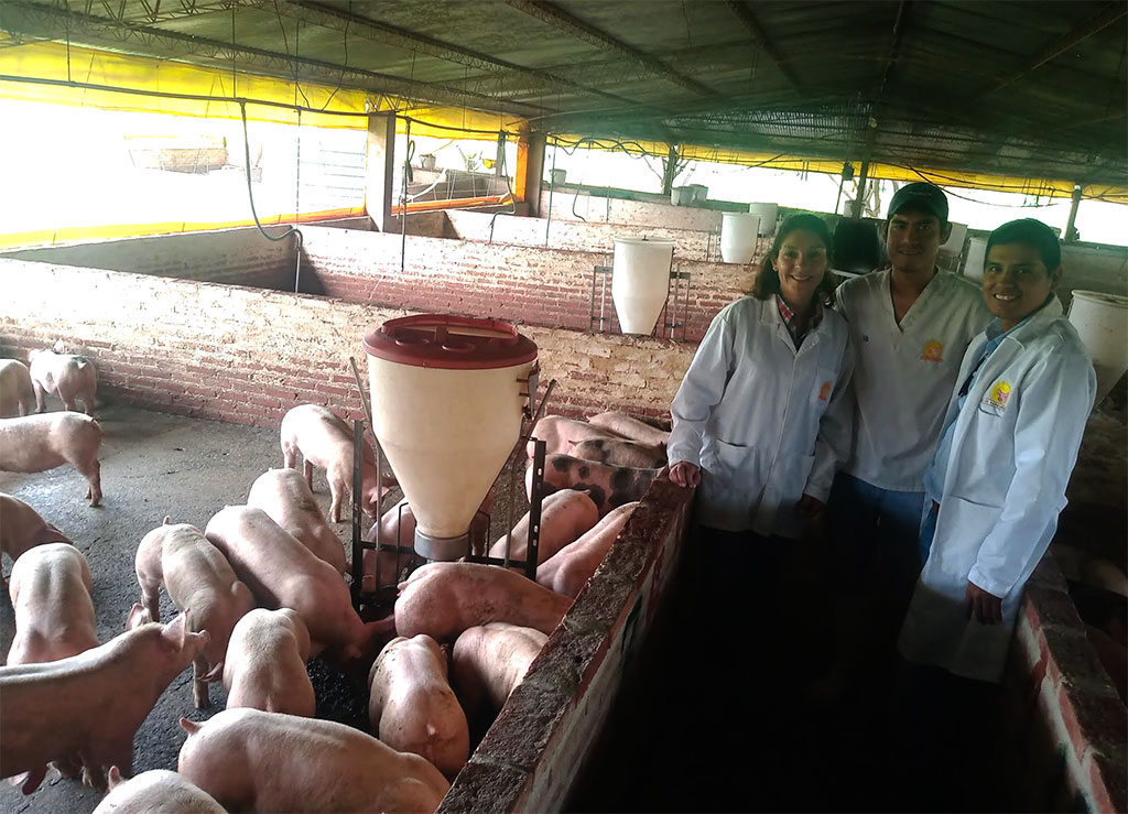 Minervet visita granjas porcinas en Bolivia